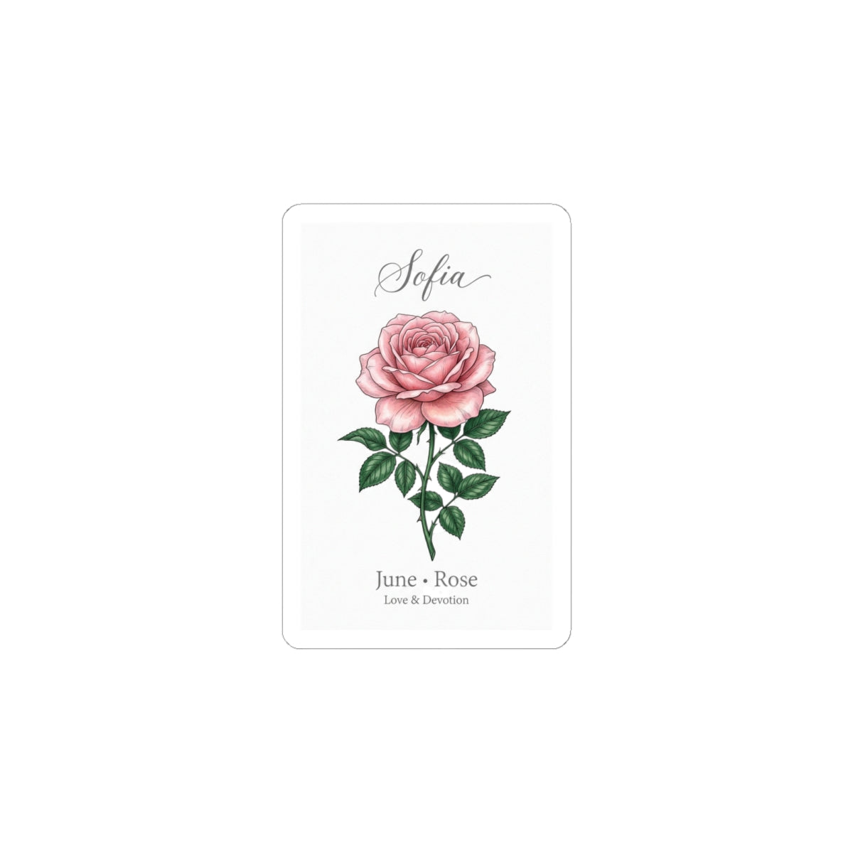 June Rose Birth Flower Sticker | Personalized Botanical, Watercolor Name