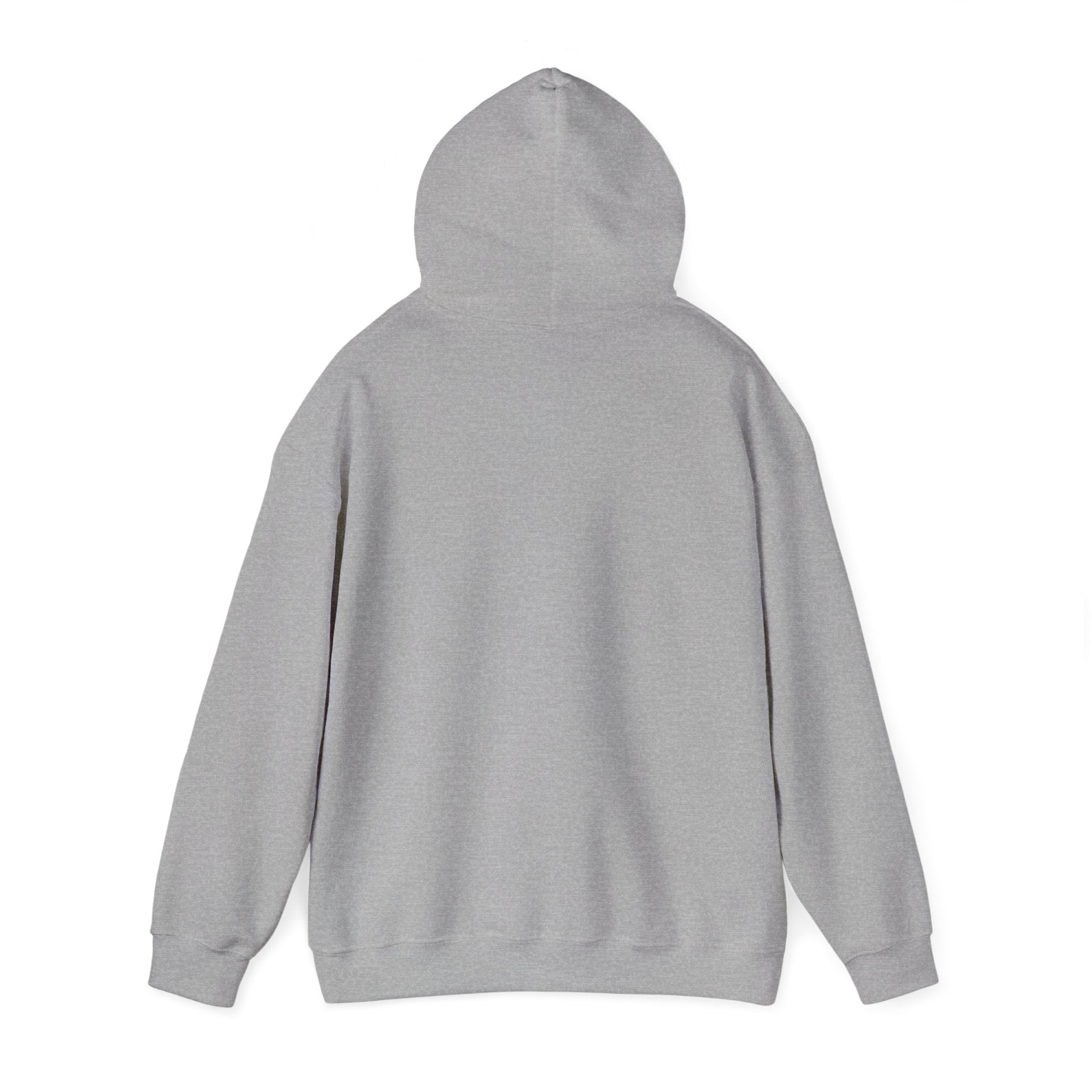 City Basketball Pride Hoodie | varsity collegiate streetwear