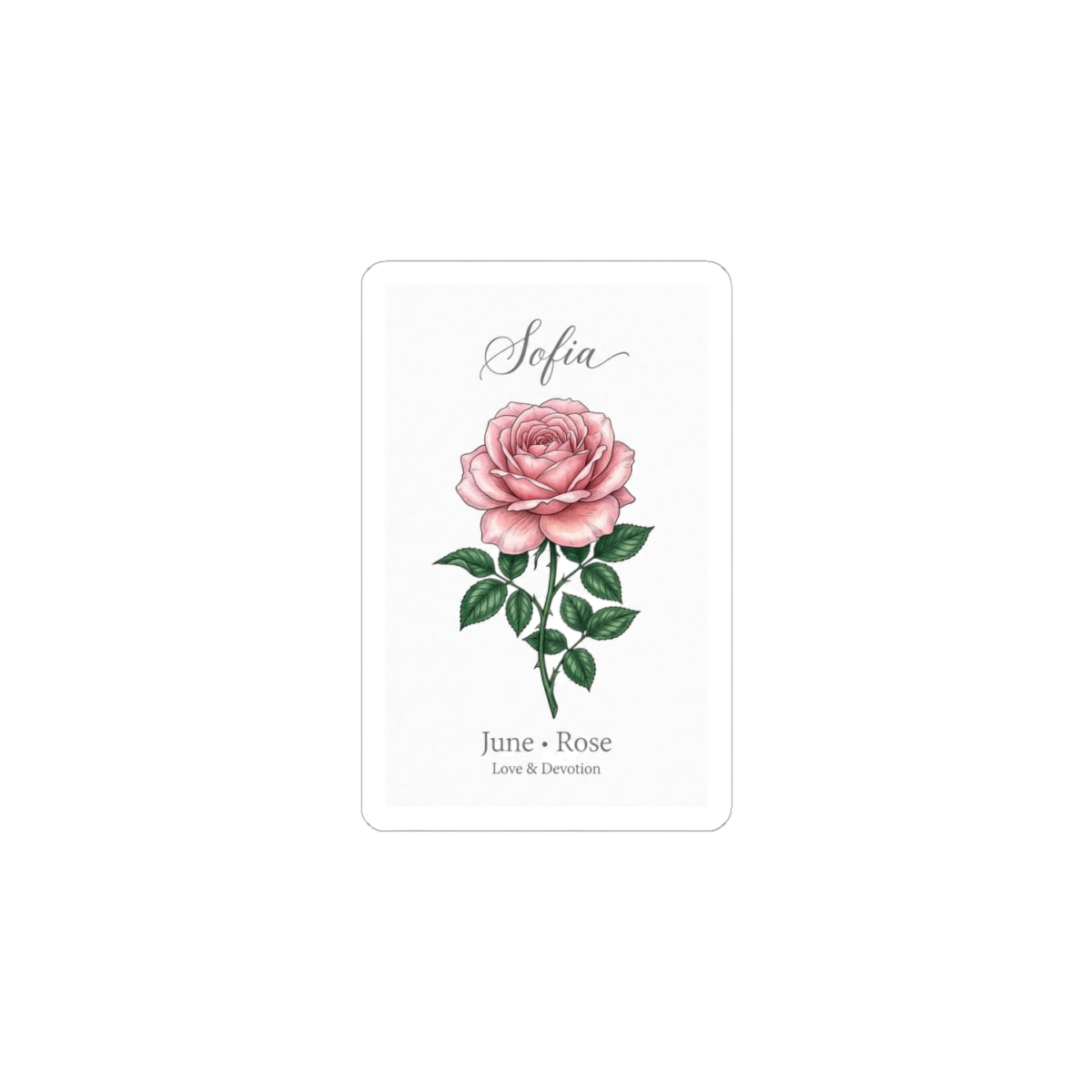 June Rose Birth Flower Sticker | Personalized Botanical, Watercolor Name