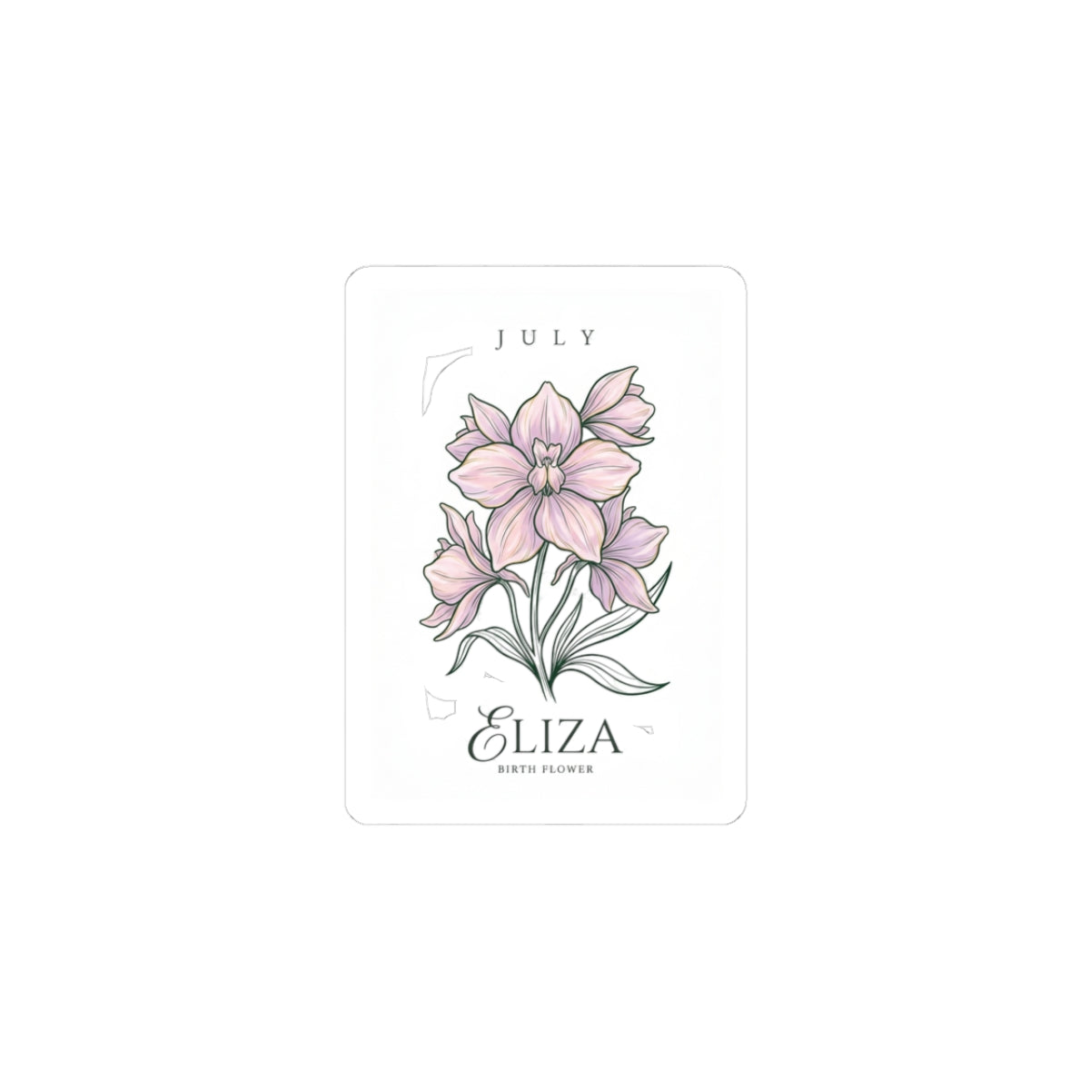 July Birth Month Flower Sticker | Botanical Watercolor, Personalized Name