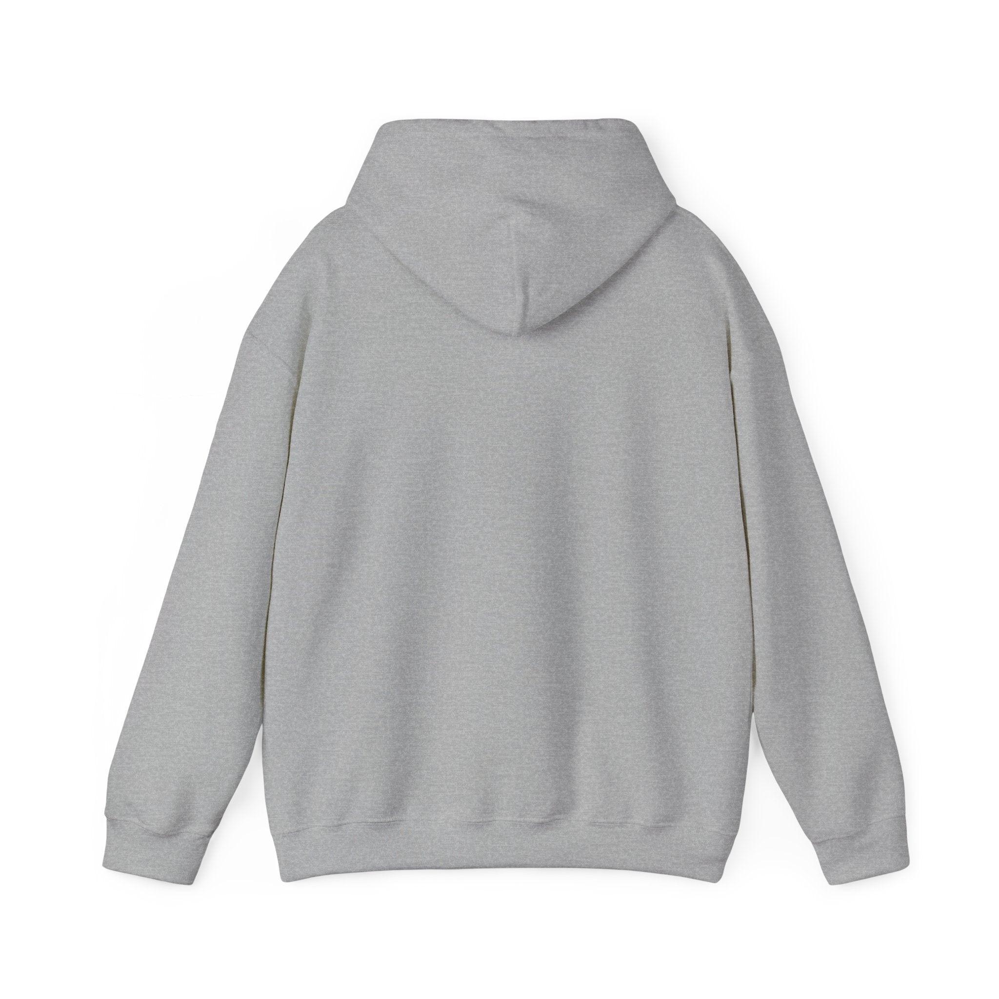City Basketball Pride Hoodie | varsity collegiate streetwear