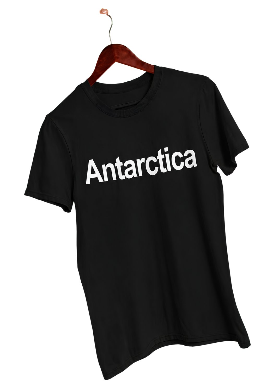 Antarctica Graphic Tee — Mineral Wash Vintage T-Shirt