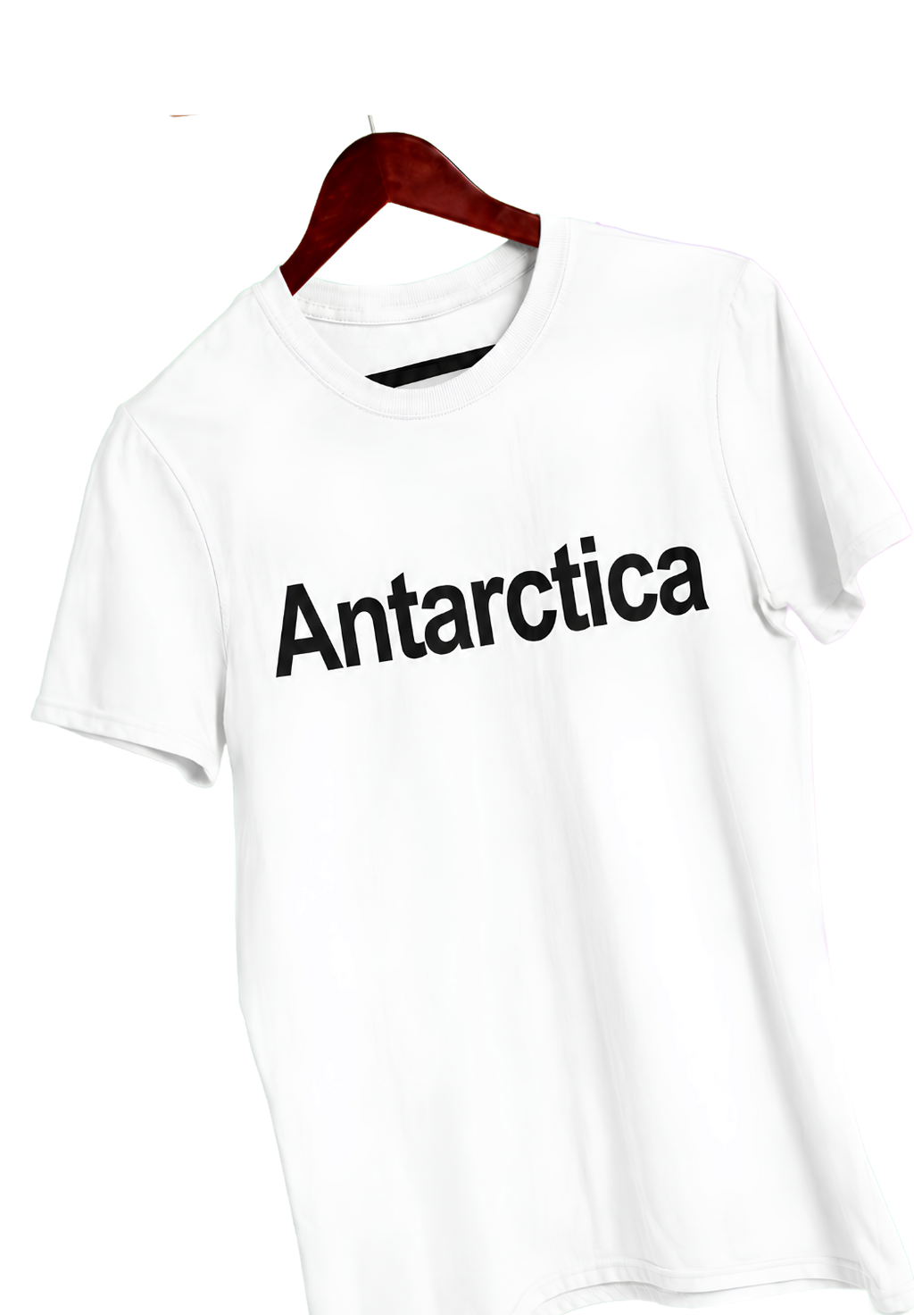 Graphics Color Check Antarctica Graphic Tee — Mineral Wash Vintage T-Shirt – MaobisStores