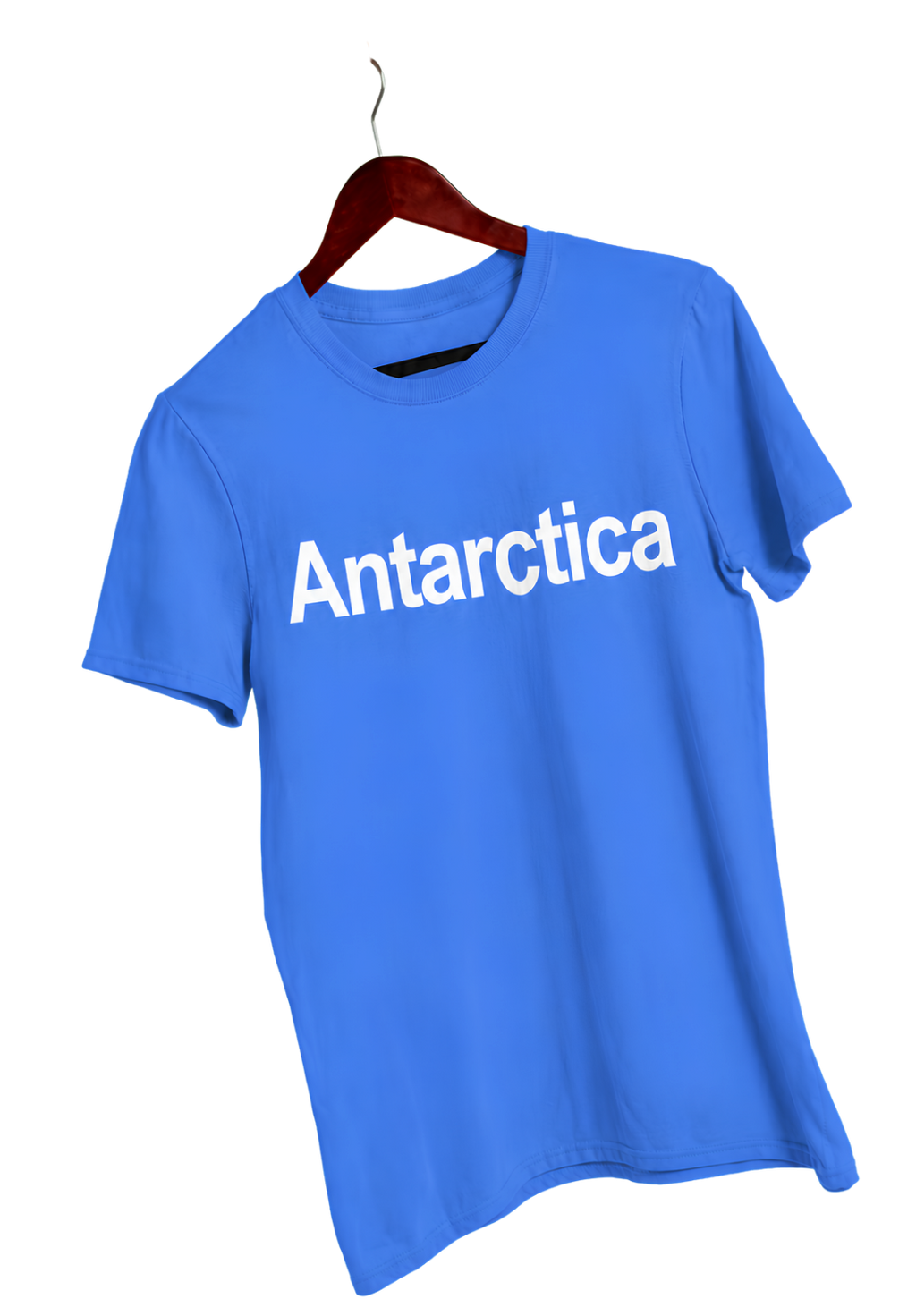 Antarctica Graphic Tee — Mineral Wash Vintage T-Shirt