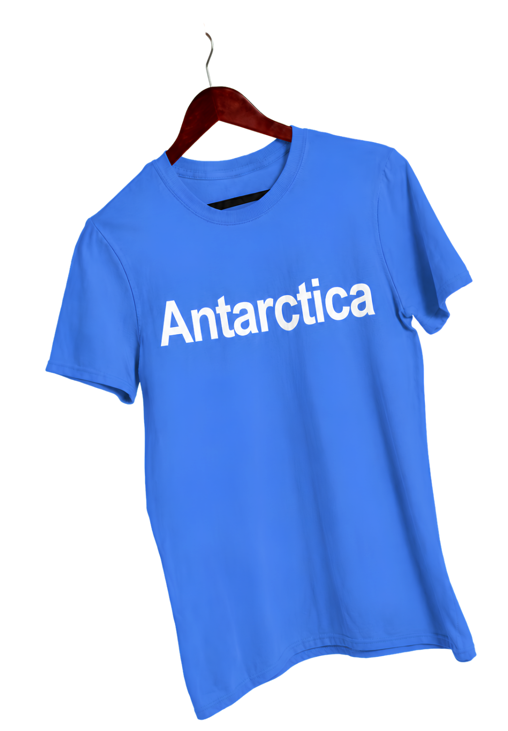 Antarctica Graphic Tee — Mineral Wash Vintage T-Shirt