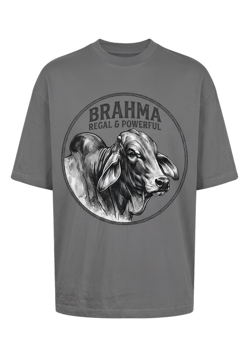 Brahma Rooster Graphic T‑Shirt — Vintage Farmyard Chicken Tee