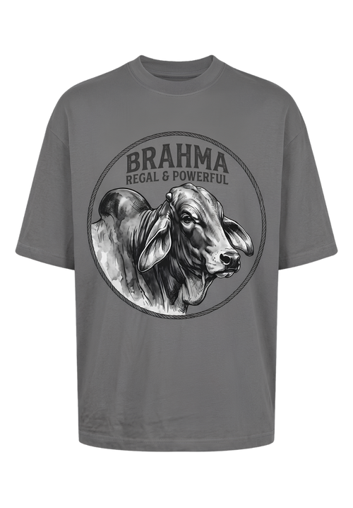 Brahma Rooster Graphic T‑Shirt — Vintage Farmyard Chicken Tee