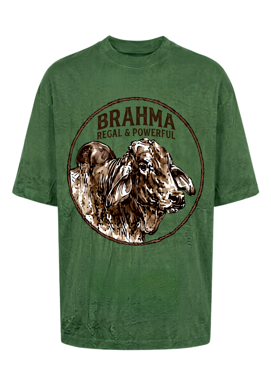 Brahma Rooster Graphic T‑Shirt — Vintage Farmyard Chicken Tee