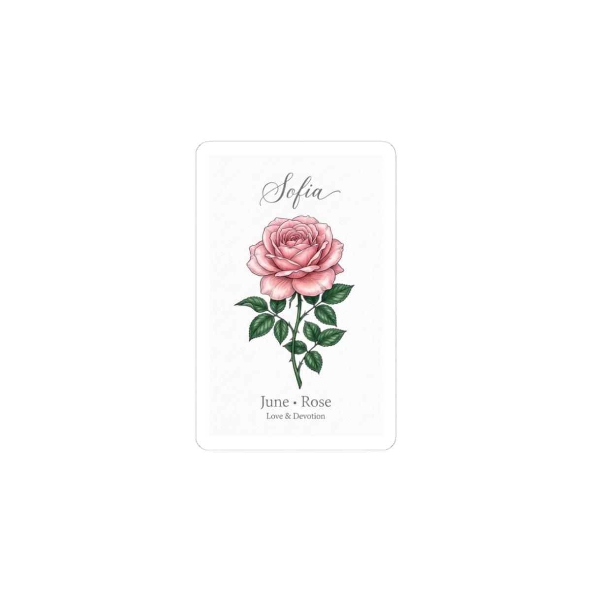 June Rose Birth Flower Sticker | Personalized Botanical, Watercolor Name