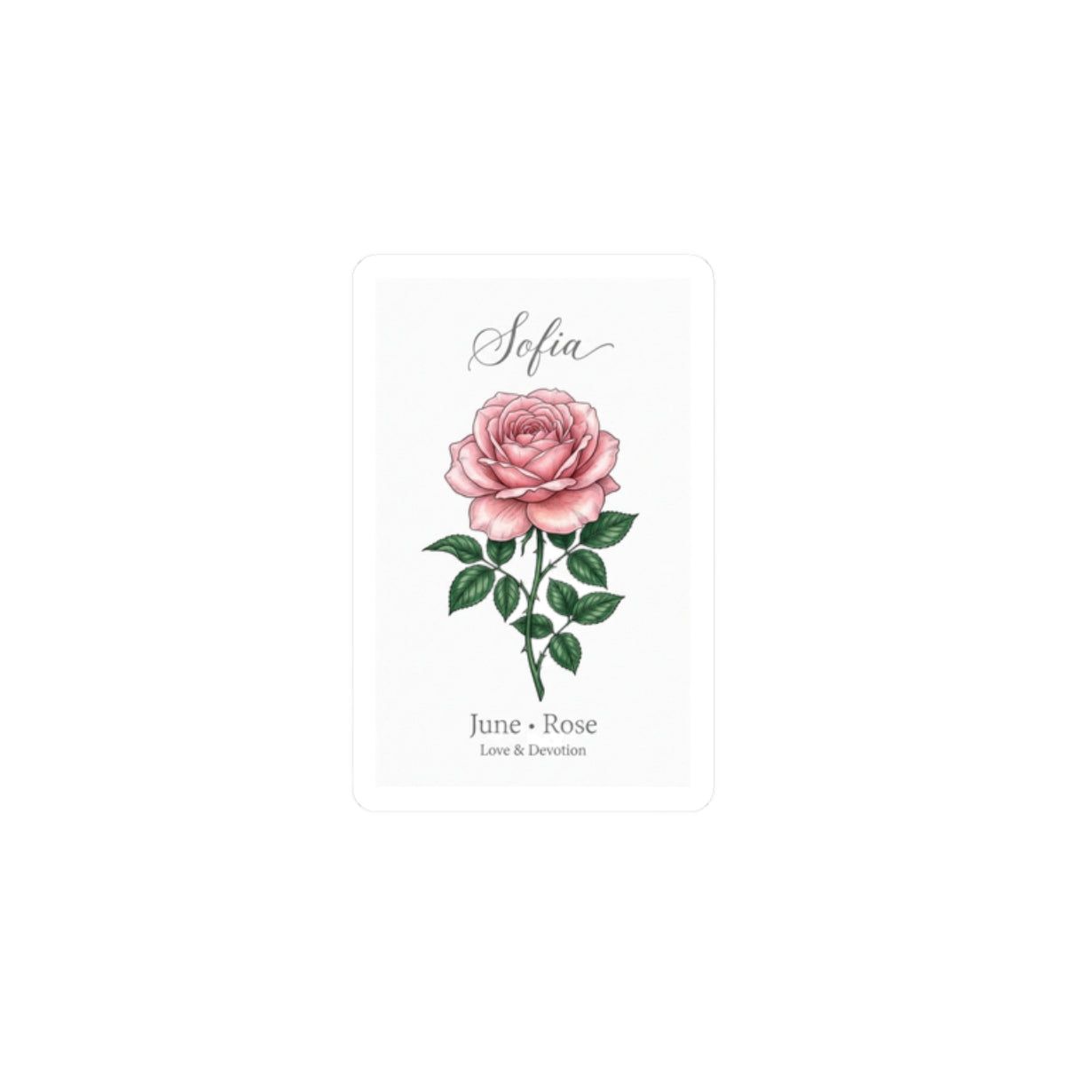 June Rose Birth Flower Sticker | Personalized Botanical, Watercolor Name