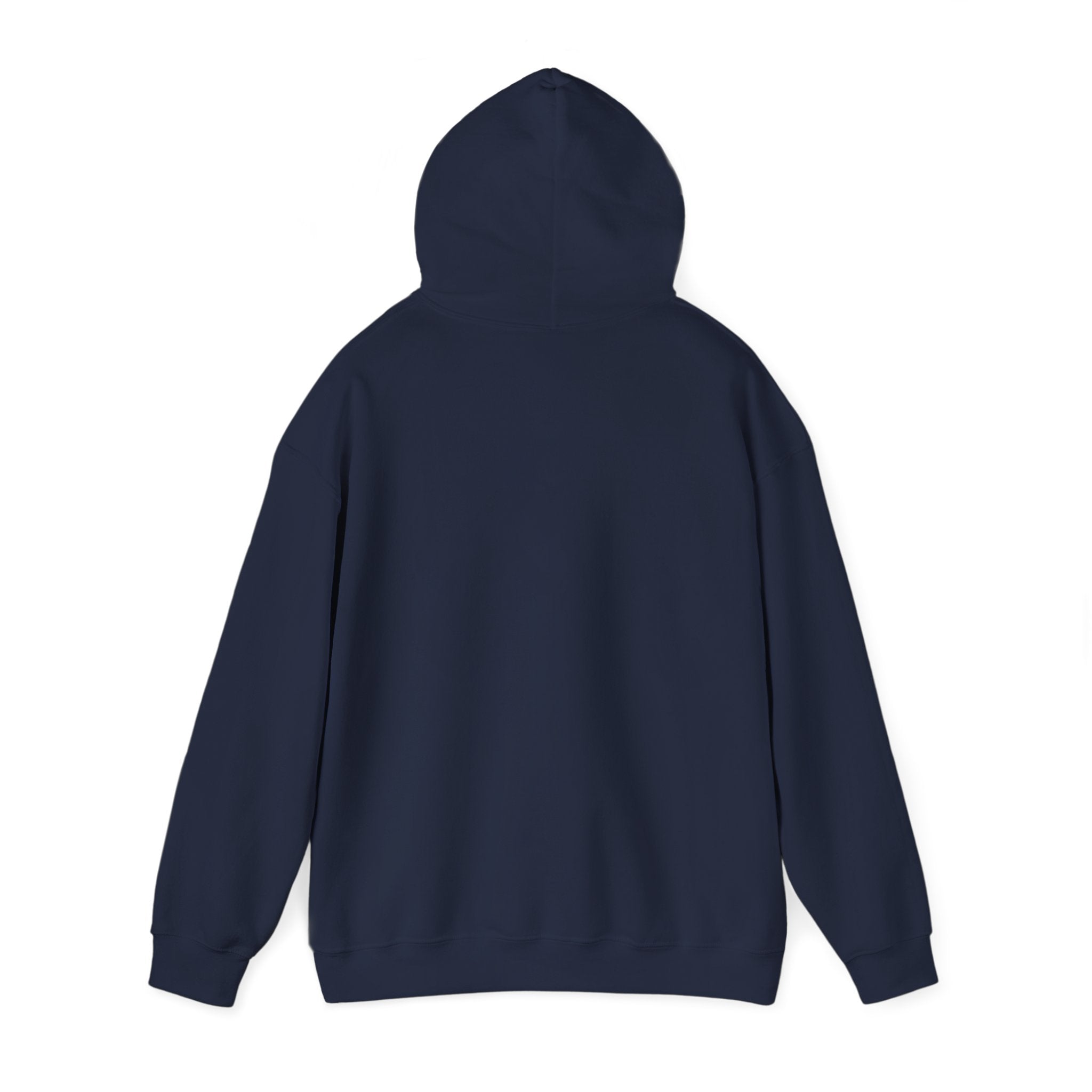 Stars & Road Trips Hoodie | vintage Americana, red white blue